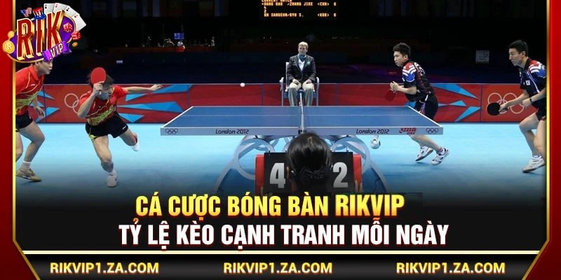 Cá Cược Bóng Bàn Rikvip – Tỷ Lệ Kèo Cạnh Tranh Mỗi Ngày 1 Cá Cược Bóng Bàn Rikvip – Tỷ Lệ Kèo Cạnh Tranh Mỗi Ngày